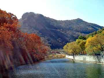 管家婆黑白马报图库，tmax